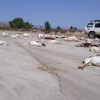 49 killed, 70 others still missing after tropical cyclone in Somaliland