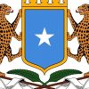 Dowladda Somalia Oo War Ka Soo Saartay Weerar Ciidamada Kumaandoosta Ka Fuliyeen Sh/Hoose