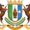 Akhriso:-Puntland Oo Hakisay Xiriirkii Xisbiyada Siyaasadeed Ee Dalka