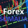 Dawladda Hoose ee Xamar oo joojisay bixinta ruqsadaha Shirkadaha Forex Market Trading