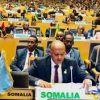 Afhayeenka kooxda TPLF oo eedayn u jeediyay Ururka Midowga Africa