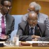 Dowlada Somalia oo ka hadashay kordhinta Qaramada Midoobay ee xanibaada hubka