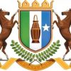 Xaalado Caafimaad daro oo ka taagan Puntland