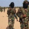 Alshabaab oo Lamu ku weerartay shirkad Shiinaha laga leeyahay