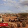 Xoolo dhatada Puntland oo ka cabanaya abaar si xun u saameysay