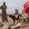 Wasiirka Shaqada iyo Arrimaha Bulshada Xukuumadda Federaalka  oo arimaha gurmadka abaaraha kala hadashay hay’adda UNICEF