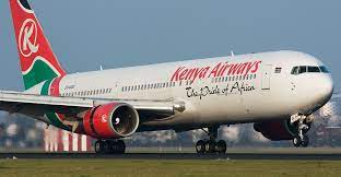 Qof Rakaab ah oo  ku dhex dhintay diyaarad ay leedahay Kenya Airways oo ka soo kicitintay New York kuna socotay magaalada Nairobi.