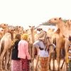 Ganacsatada xoolaha ee magaalada Muqdisho ayaa sheegay inay Alshabaab weli ka qaadaan lacago baad ah