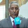 Somalia’s FM Says Fighting Terrorism is Common Objective of Ethiopia, Somalia