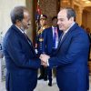 Somalia, Egypt Forge Strong Ties in a Joint Effort for Regional Stability