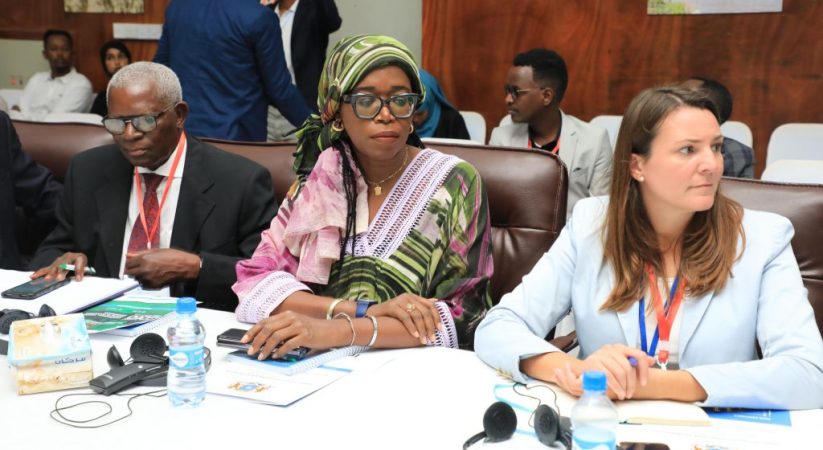 Economic Experts Meet in Mogadishu to Review Vision 2060 Progress