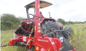 Somalia livestock farmers receive modern feed production equipment, aim to address forage needs during drought