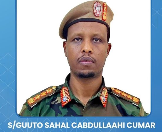 Somalia President Appoints New Military Commanders