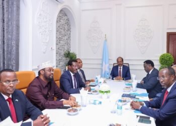 DFS oo ka digtay in maamul goboleedyadu ay dalal shisheeye la galaan heshiisyo aan Dawladdu ogeyn