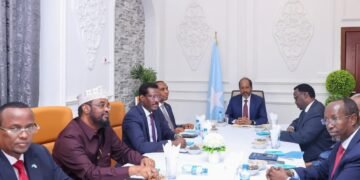 DFS oo ka digtay in maamul goboleedyadu ay dalal shisheeye la galaan heshiisyo aan Dawladdu ogeyn