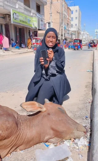 Dhalinyarada Is-Xilqaantay ee Nadaafadda Muqdisho: Doorka Baraha Bulshada, Aragtiyaha Shacabka iyo Dowladda
