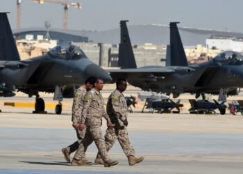 Saudi Arabia moving towards military coalition with Somalia and Egypt
