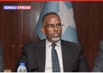Why Somalia’s Break with the UAE may make Economic sense?