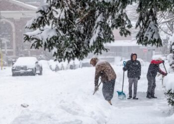 Toronto digging out after potentially record-breaking 22 centimetres of snow slams city