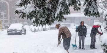 Toronto digging out after potentially record-breaking 22 centimetres of snow slams city