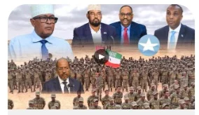 Wareysi Musharax Madaxweyne Cabdi Xaashi Seed